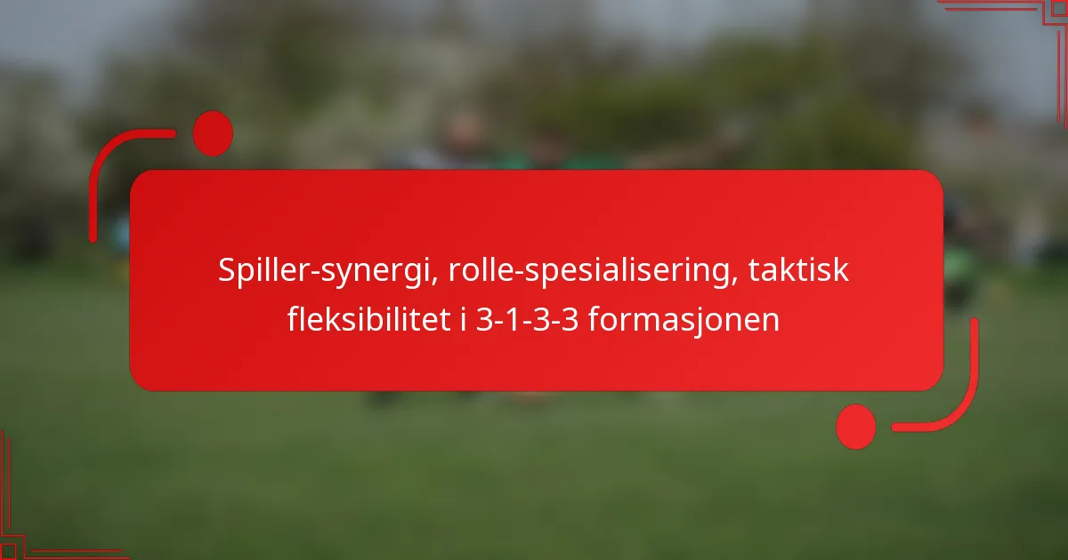 Spiller-synergi, rolle-spesialisering, taktisk fleksibilitet i 3-1-3-3 formasjonen